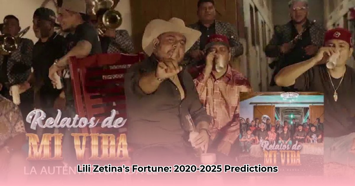 lili-zetina-net-worth